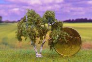 Birke mit zwei Stämmen ab Boden; Höhe ca. xx cm