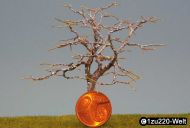 Unbearbeiteter Rohbau einer großen Eiche; Höhe ca. xx cm